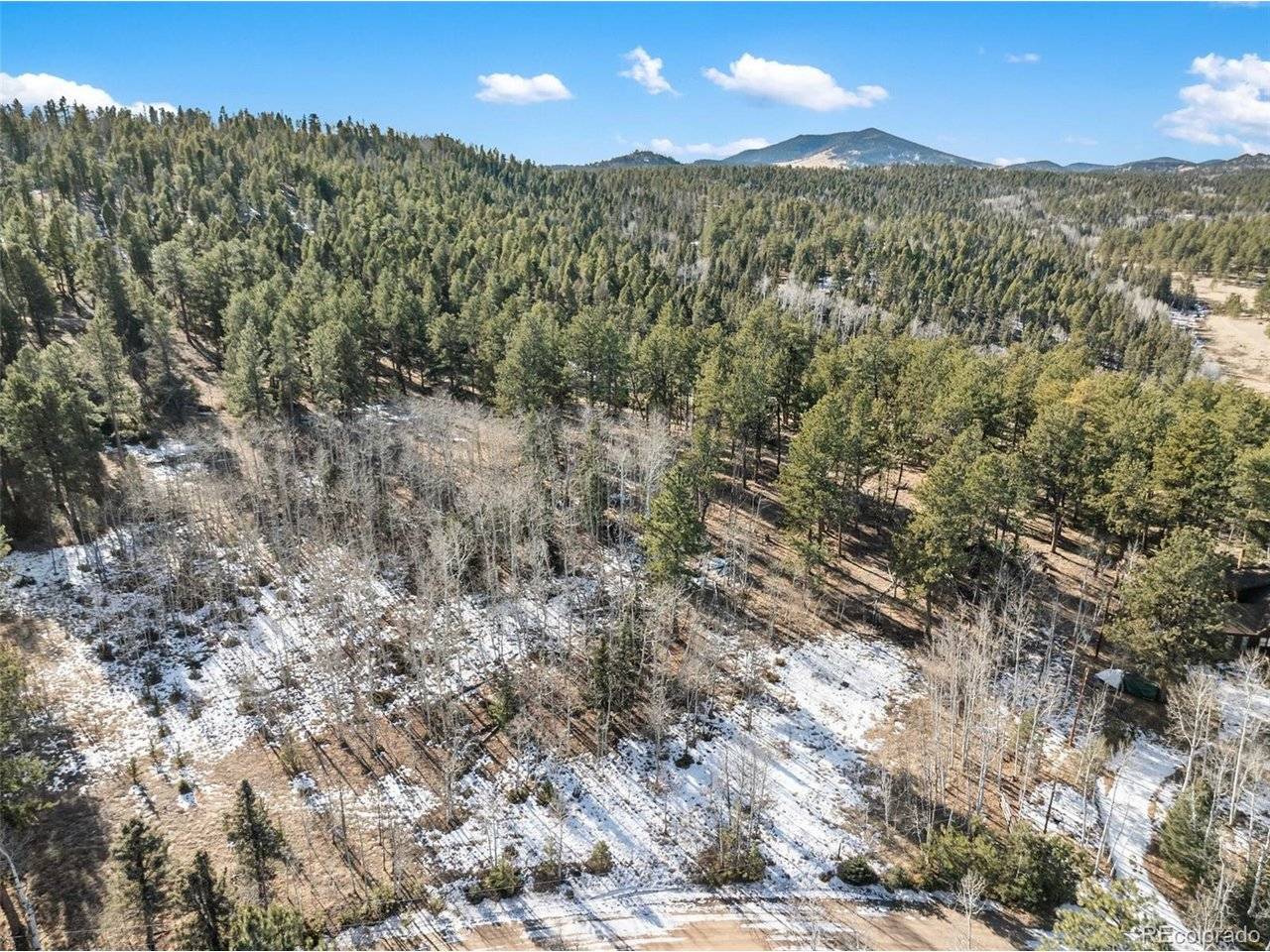 20 Echo Lake, Florissant, CO 80827