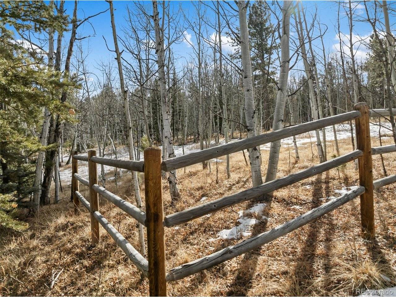 20 Echo Lake, Florissant, CO 80827
