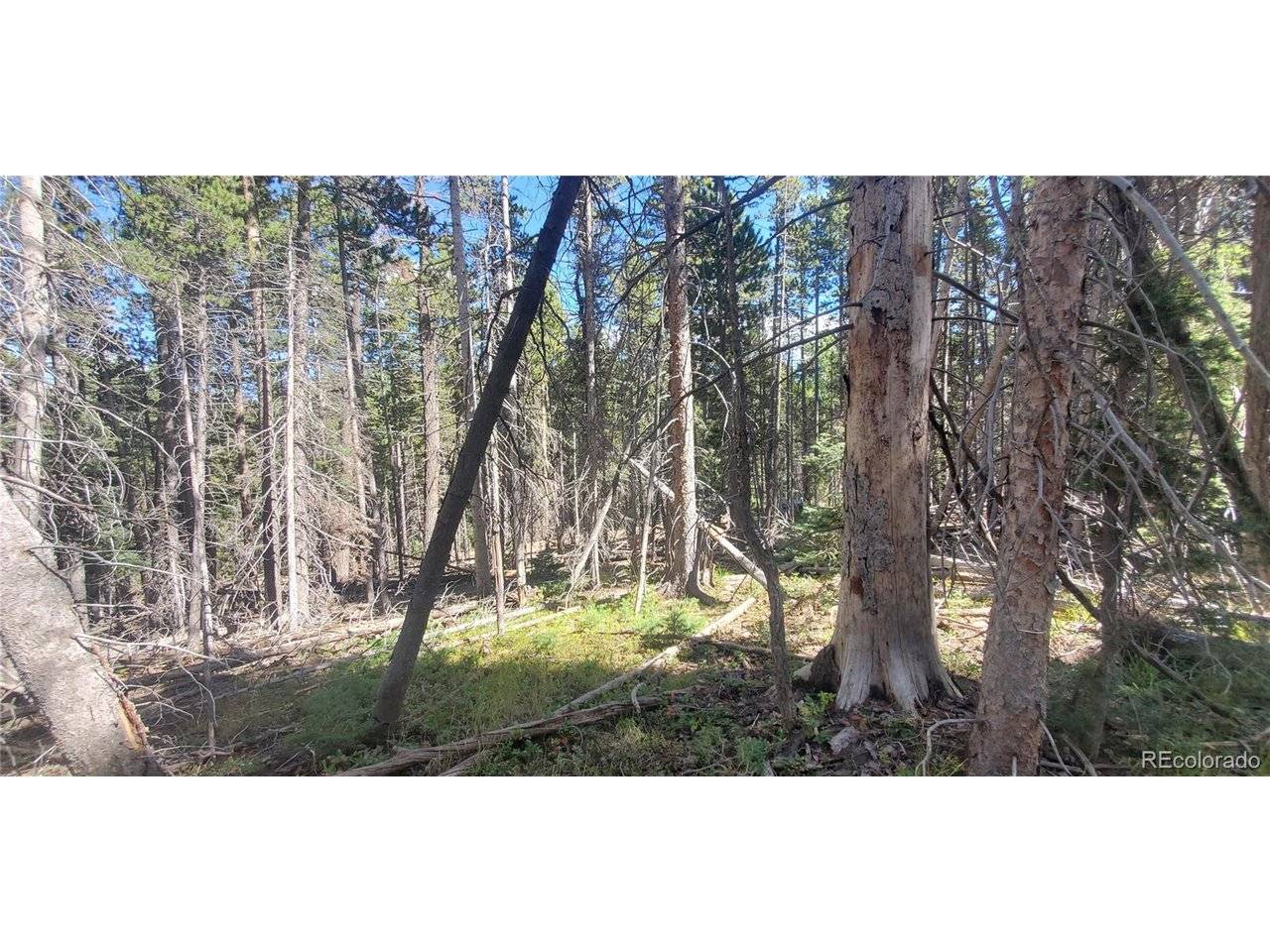 3427 Grojean, Fort Garland, CO 81133