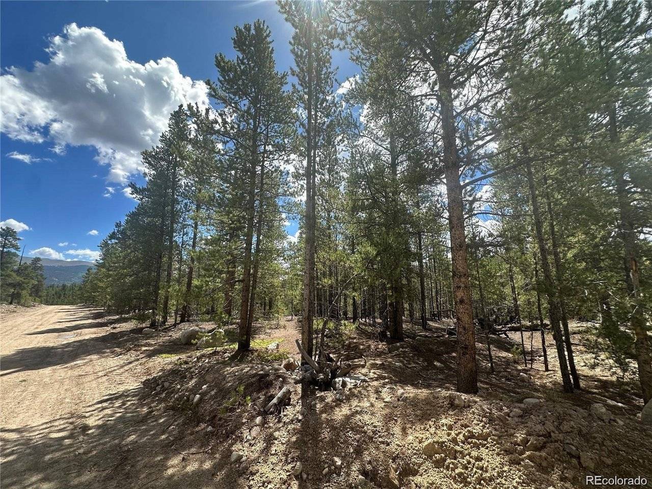 218 Aspen, Leadville, CO 80461
