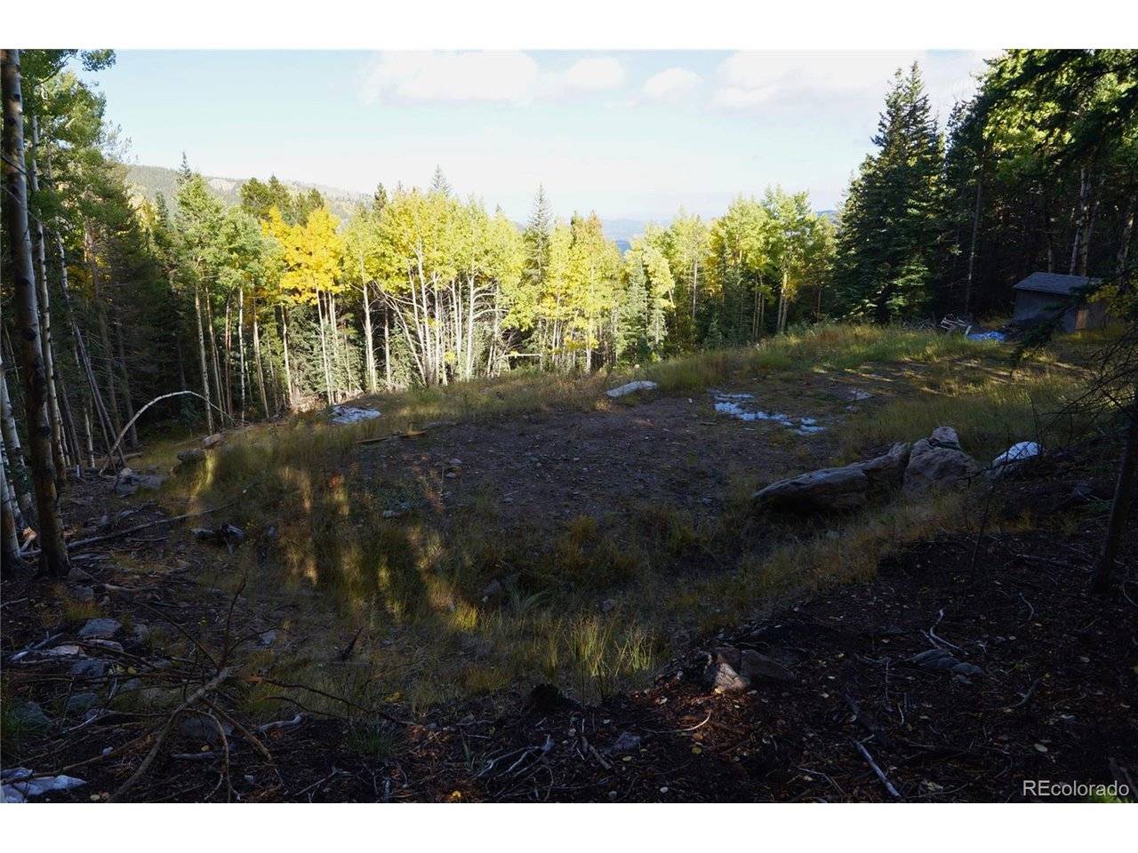 429 Sawmill, Idaho Springs, CO 80452