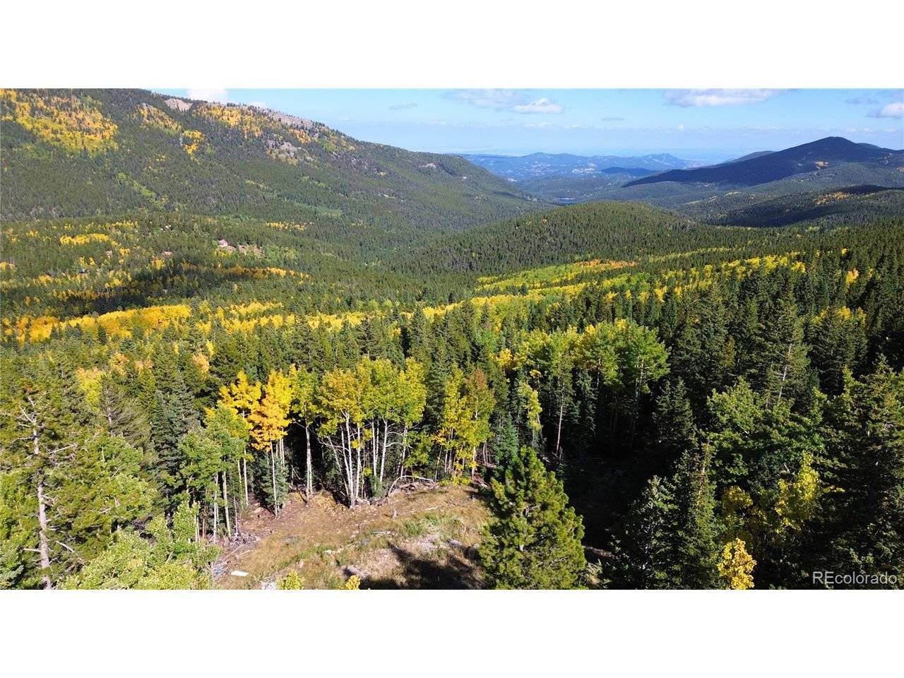429 Sawmill, Idaho Springs, CO 80452