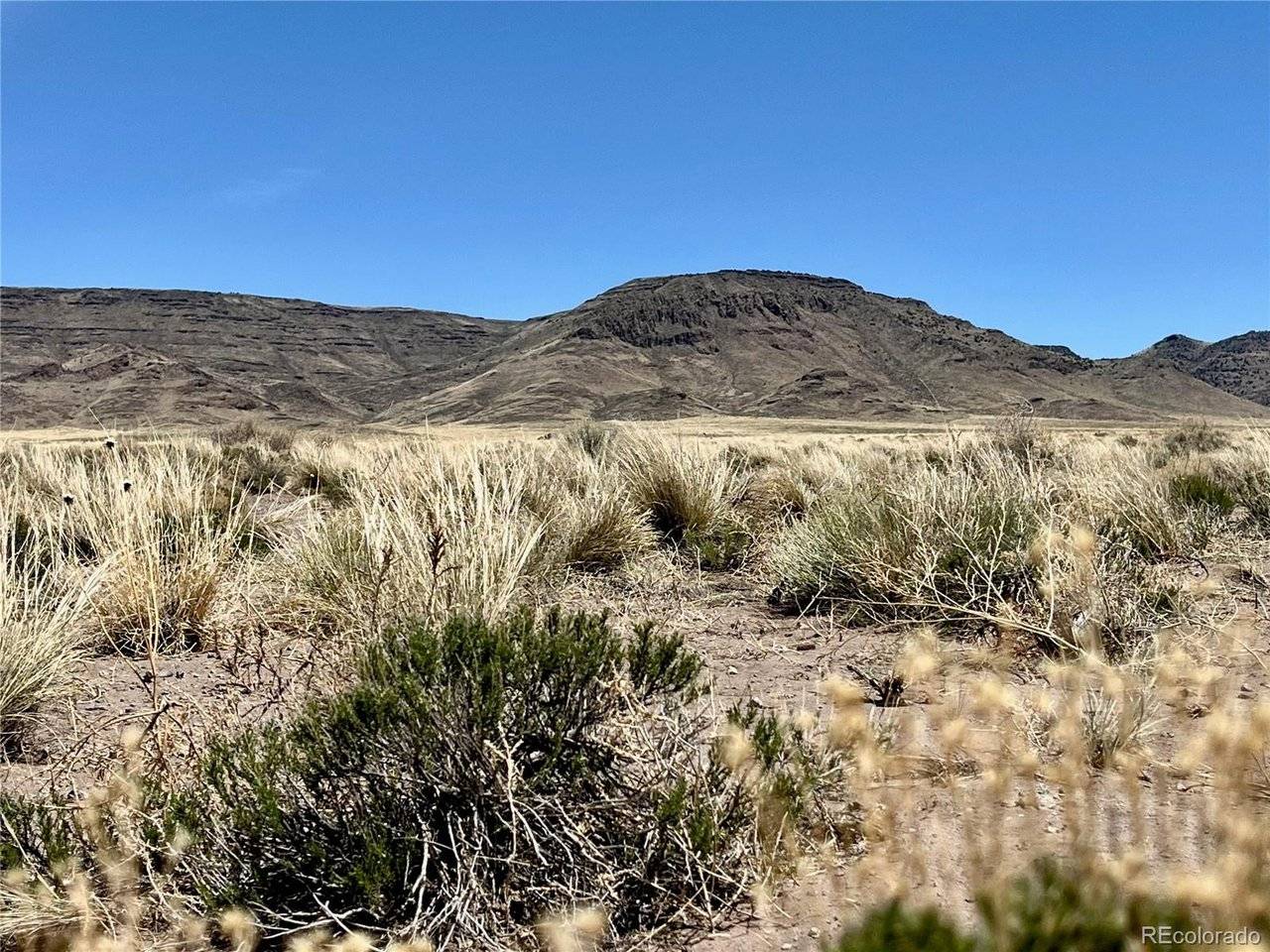 0 Hwy 142, Manassa, CO 81141