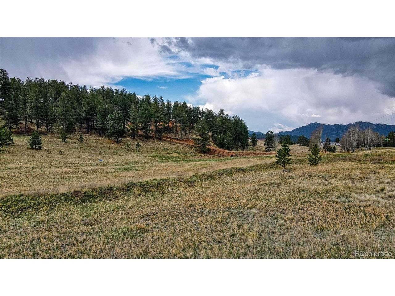 188 High Pasture, Florissant, CO 80816