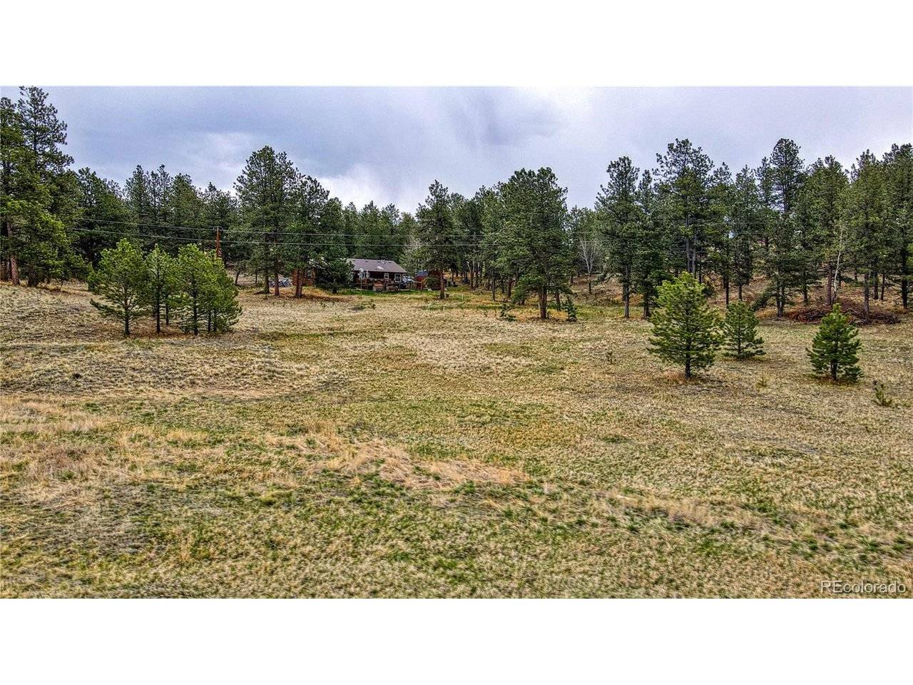 188 High Pasture, Florissant, CO 80816