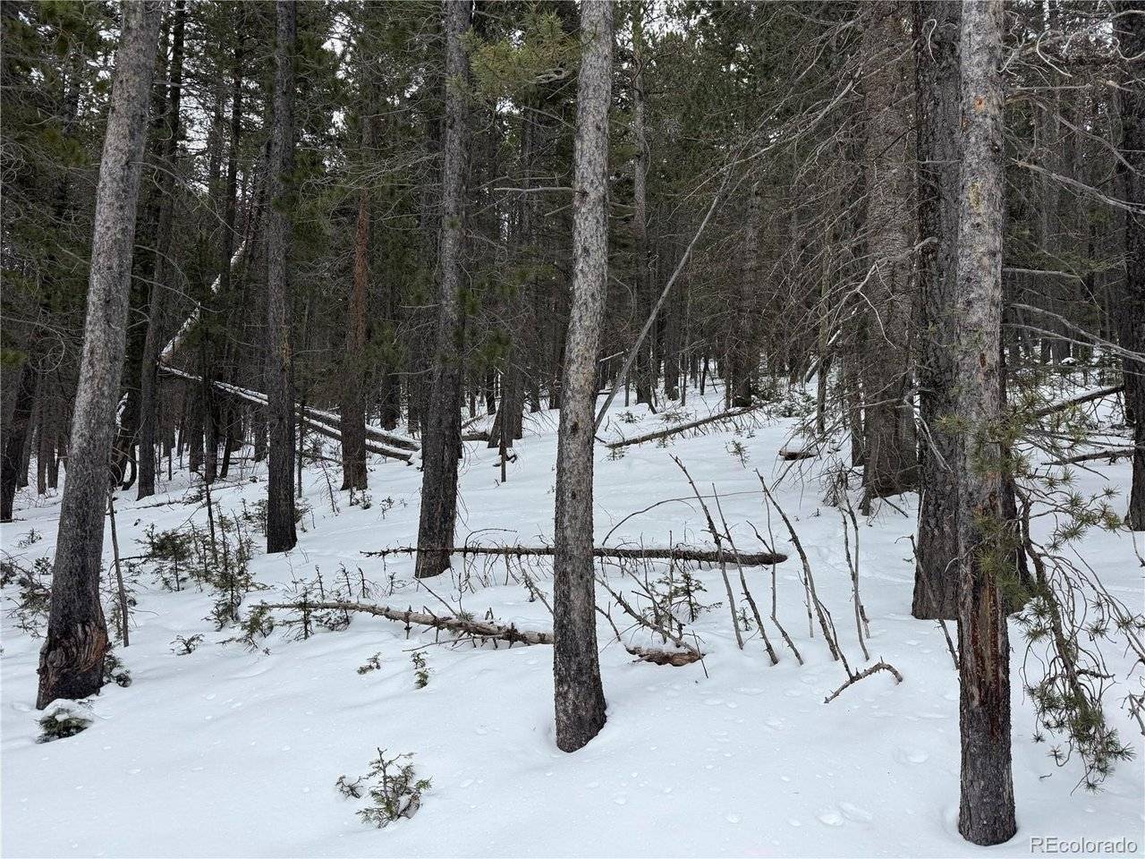2759 Purnell, Fort Garland, CO 81133