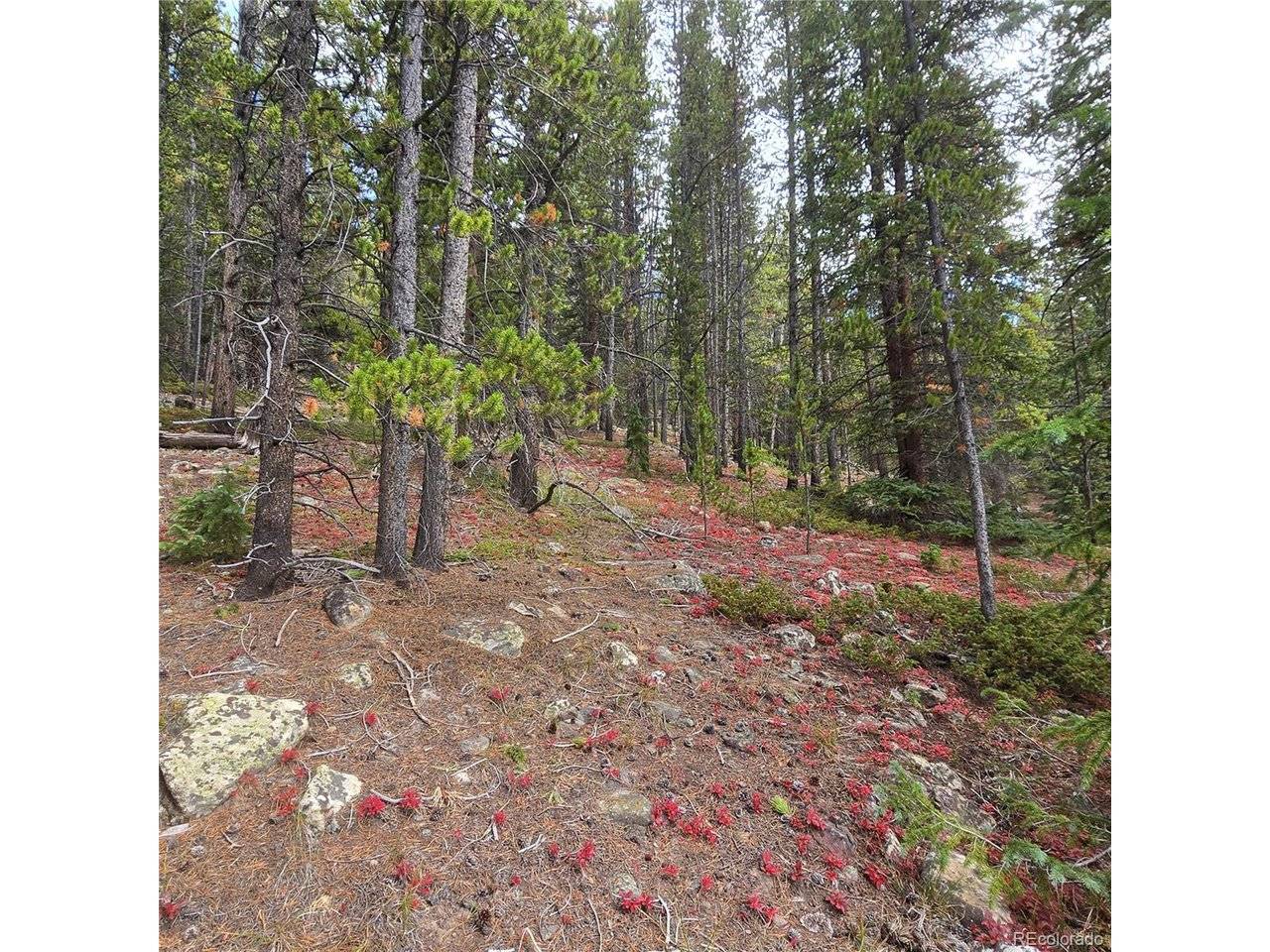 5347 Monitor Lode Claims, Leadville, CO 80461