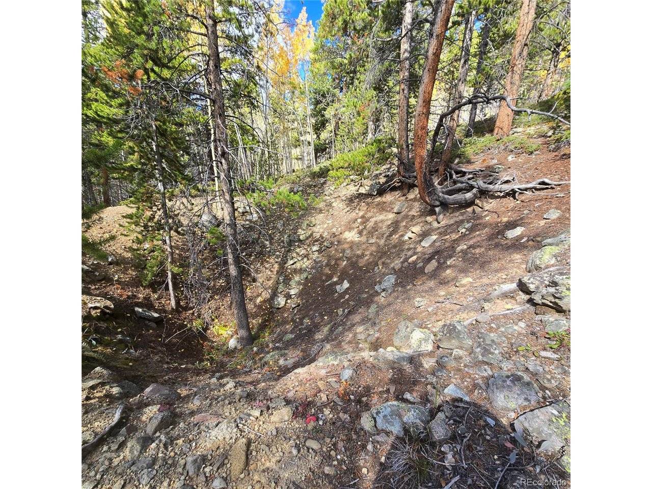 5347 Monitor Lode Claims, Leadville, CO 80461