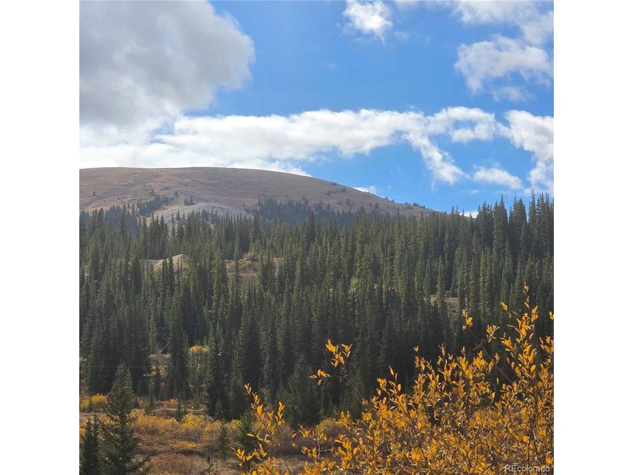 5347 Monitor Lode Claims, Leadville, CO 80461