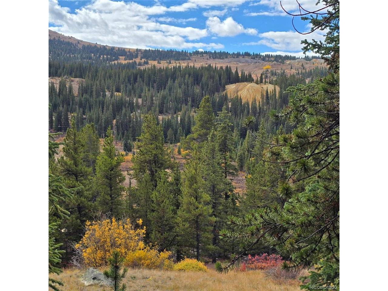 5347 Monitor Lode Claims, Leadville, CO 80461