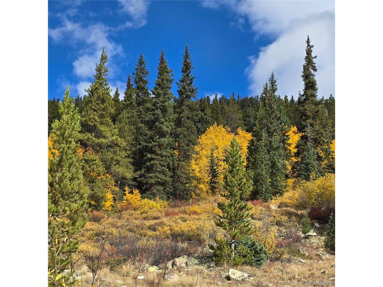 5347 Monitor Lode Claims, Leadville, CO 80461