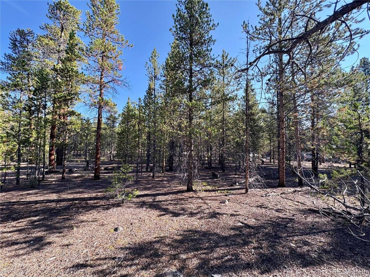 776 Birch, Twin Lakes, CO 80461