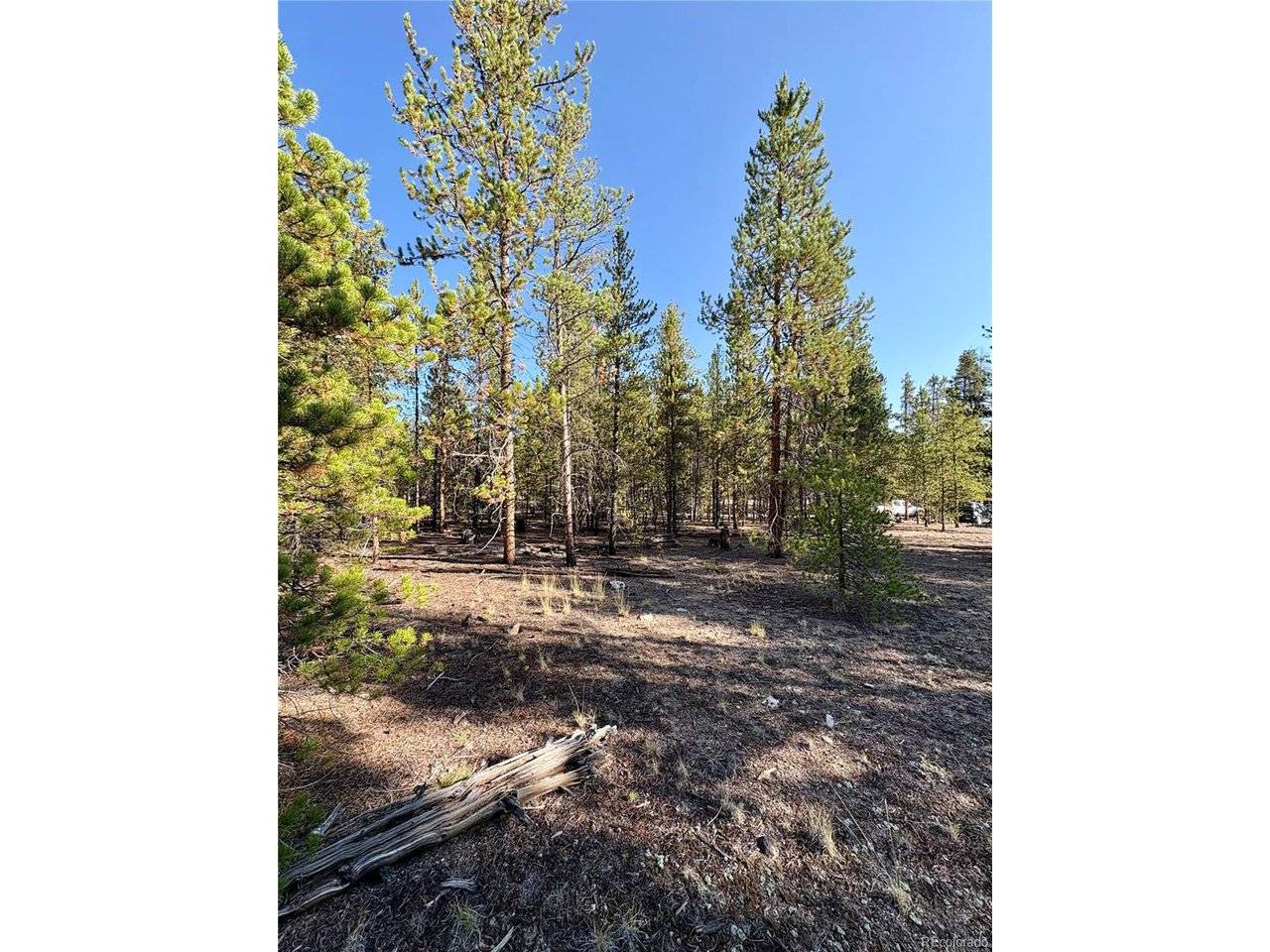 776 Birch, Twin Lakes, CO 80461