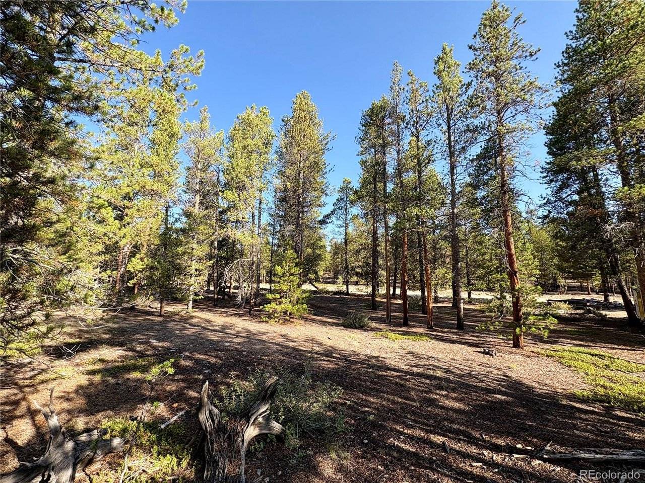 776 Birch, Twin Lakes, CO 80461