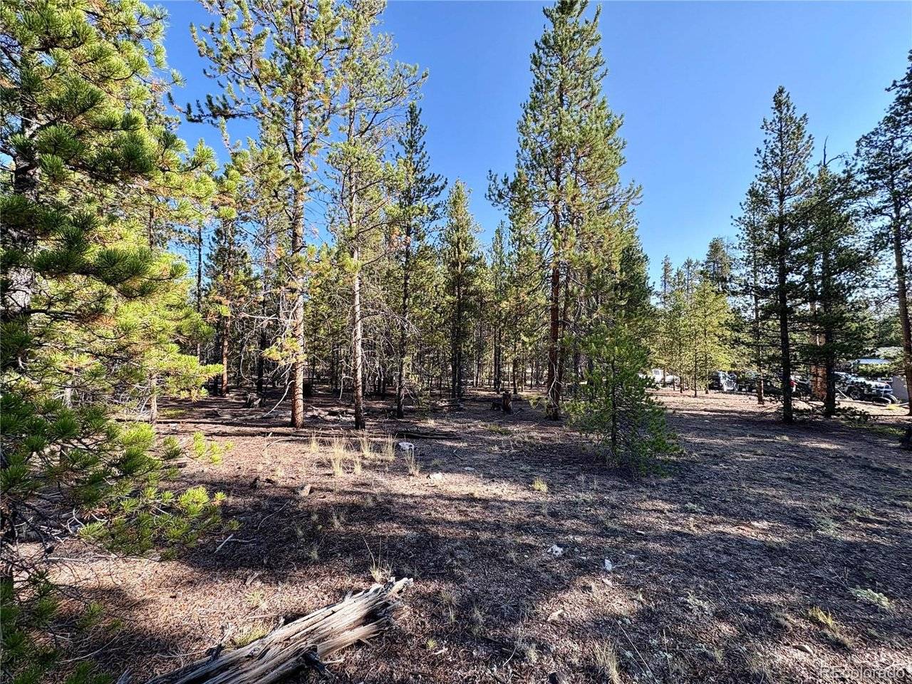 776 Birch, Twin Lakes, CO 80461