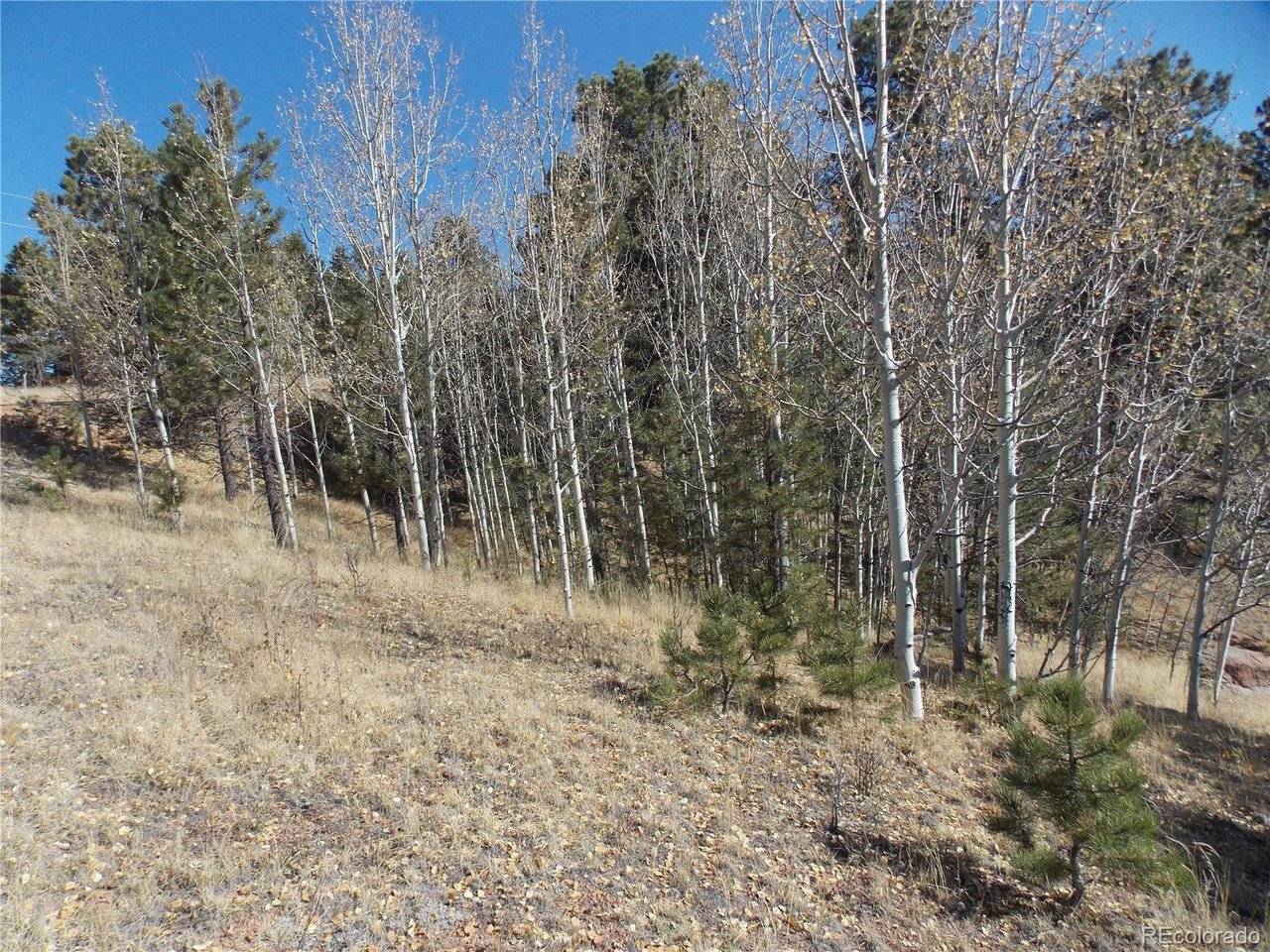 1944 May Queen, Cripple Creek, CO 80813