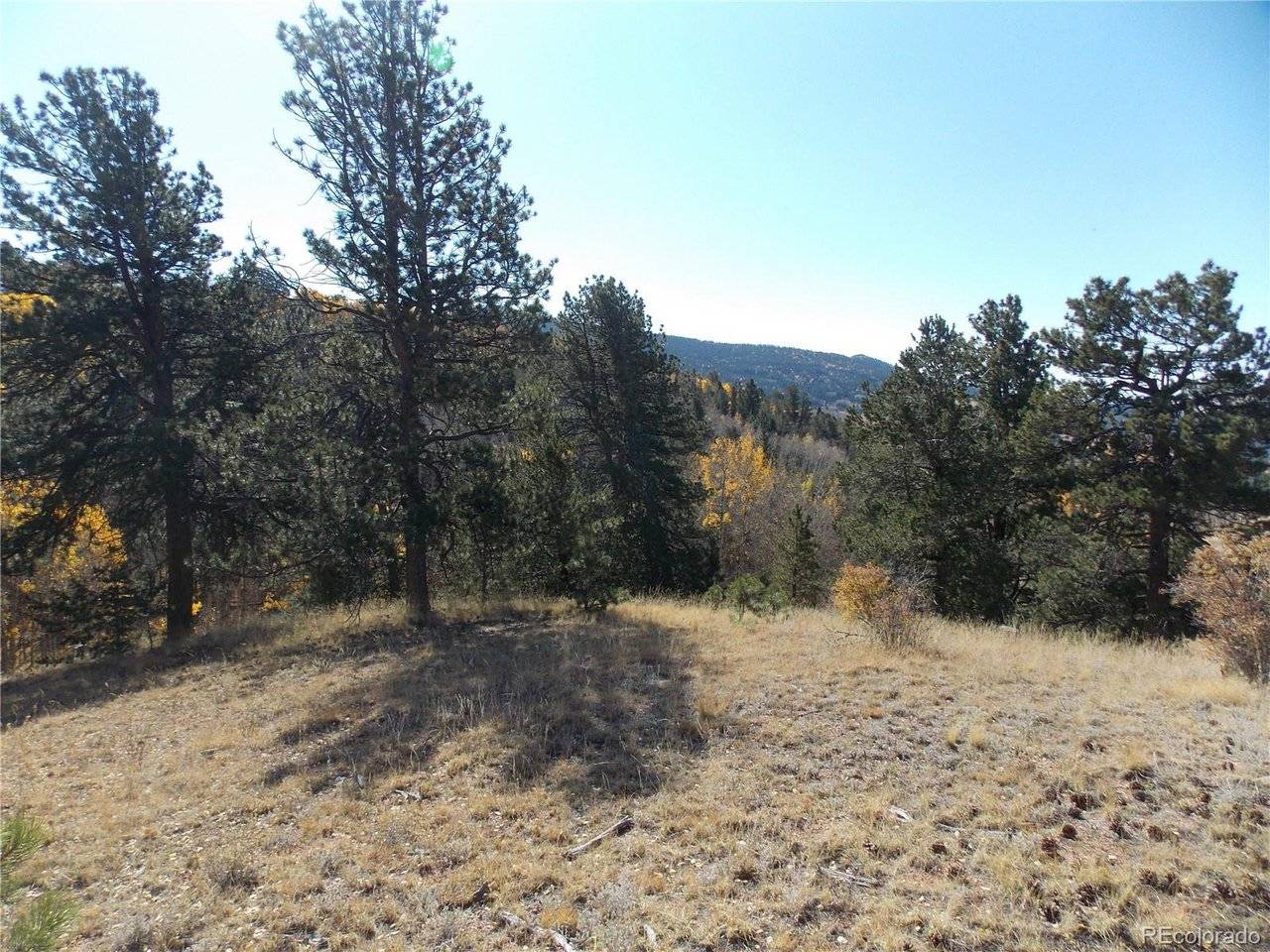 1944 May Queen, Cripple Creek, CO 80813