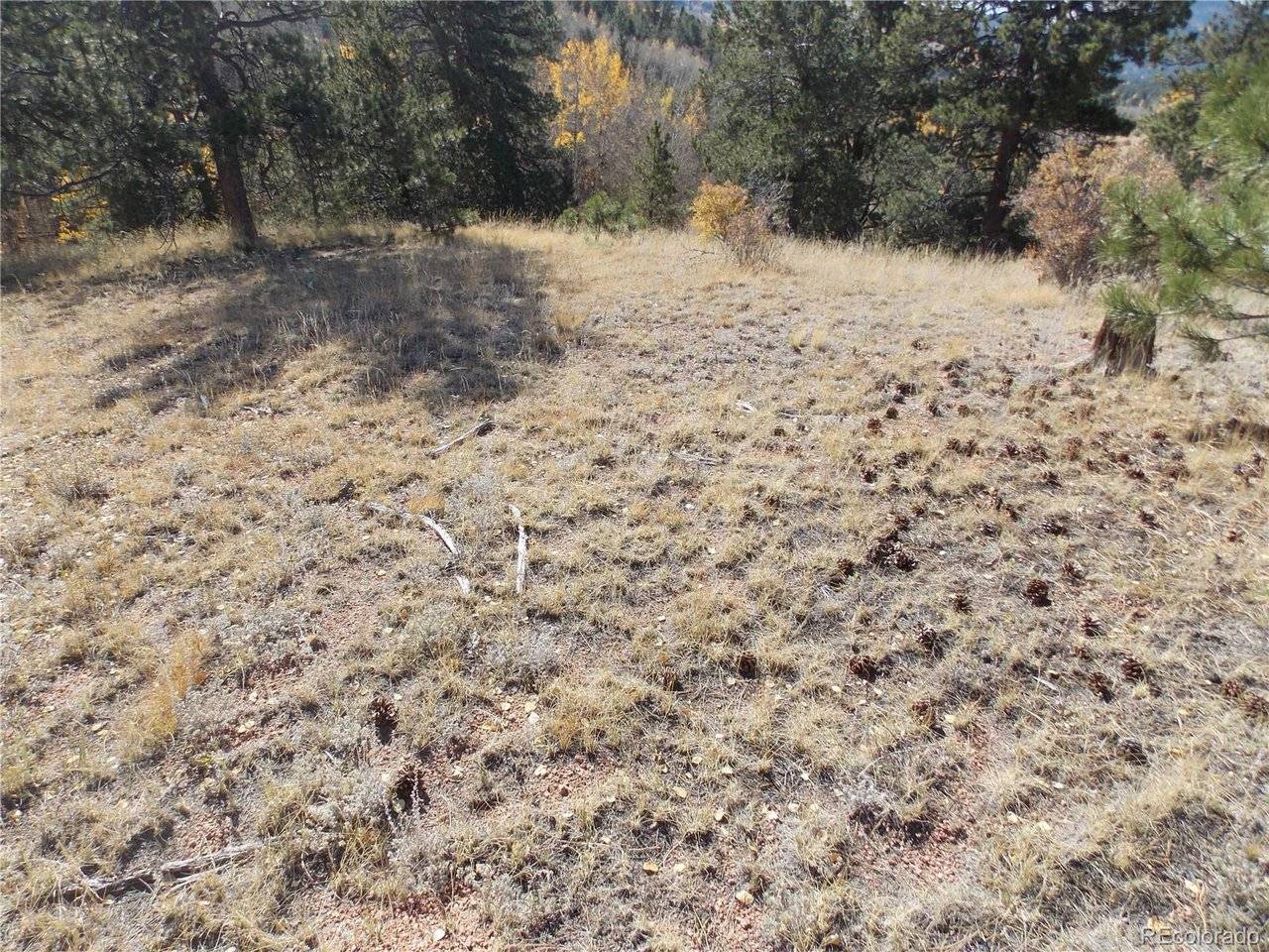 1944 May Queen, Cripple Creek, CO 80813