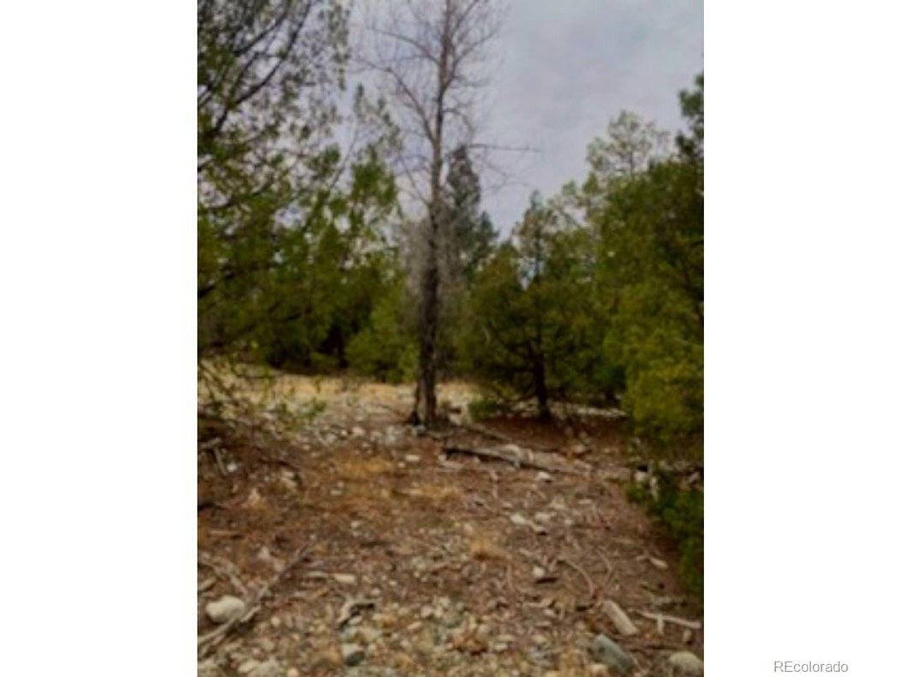 Pawnee, Mosca, CO 81146
