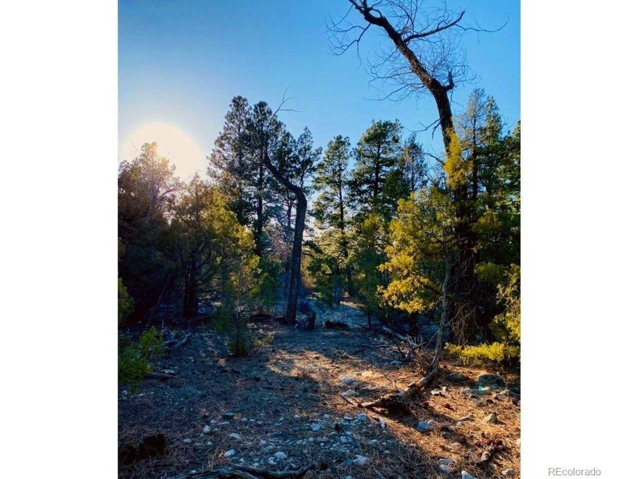 Pawnee, Mosca, CO 81146