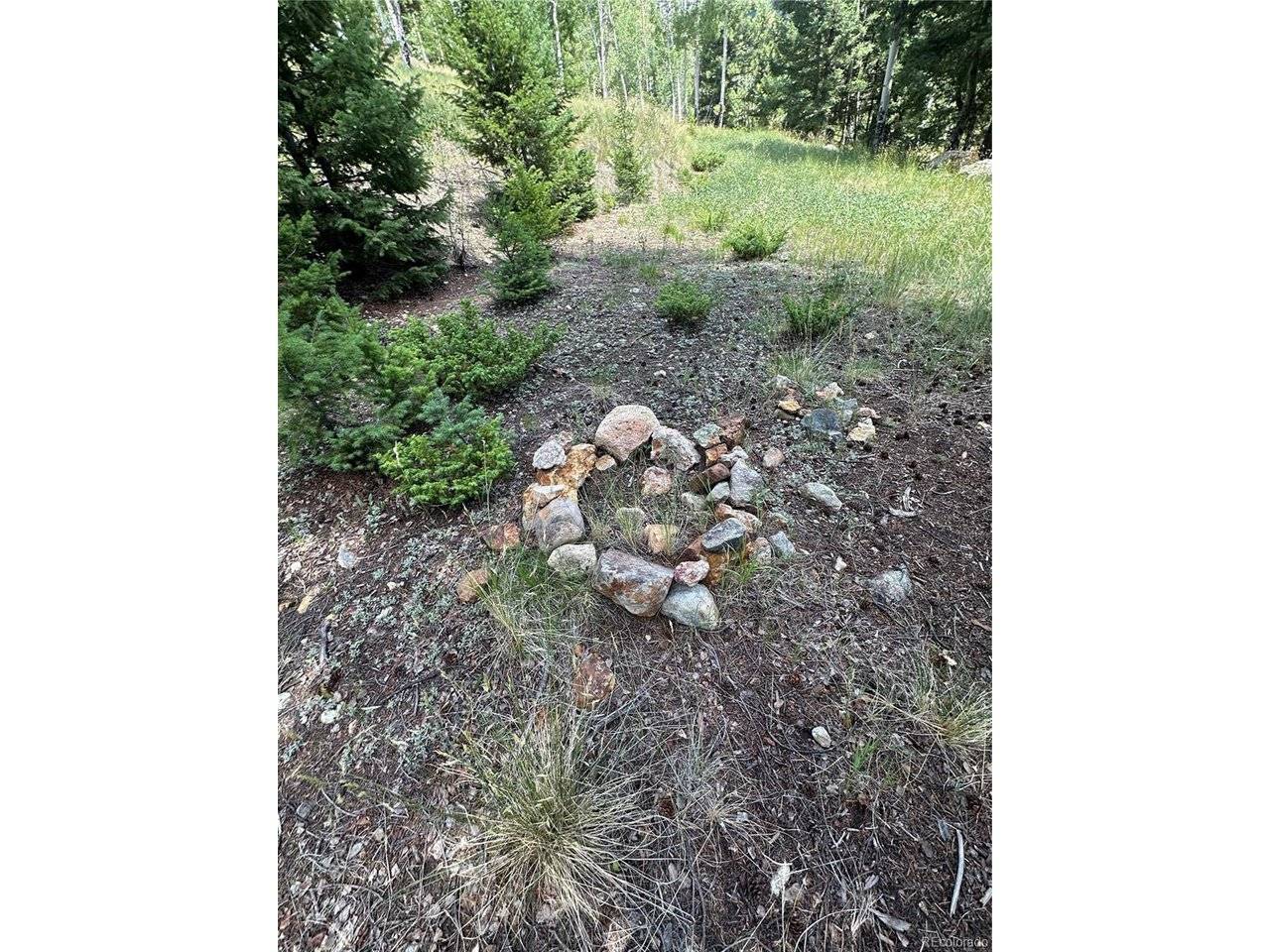 TBD Calkins, Jasper, CO 81146