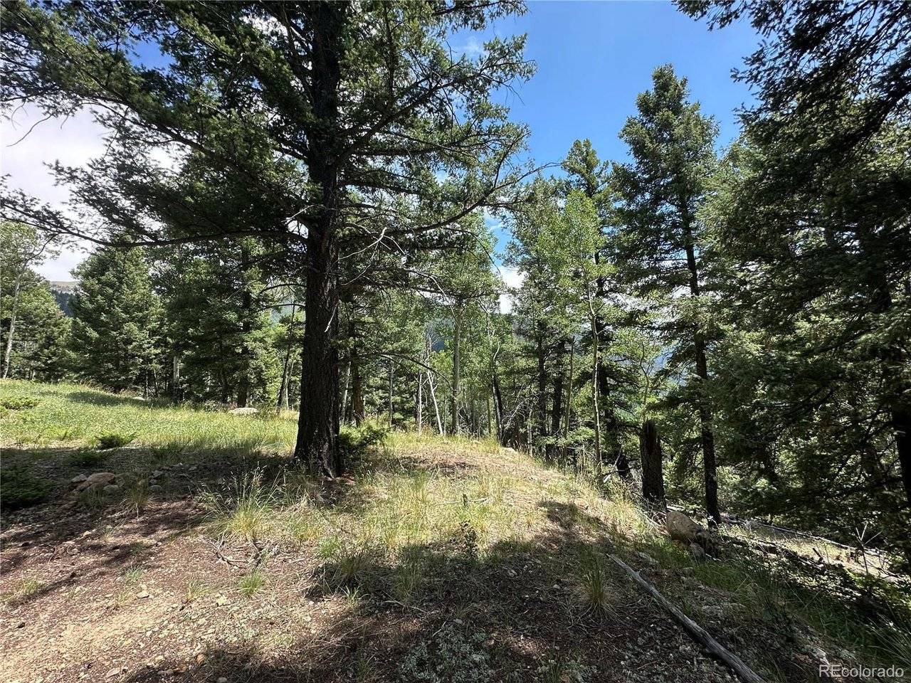 TBD Calkins, Jasper, CO 81146