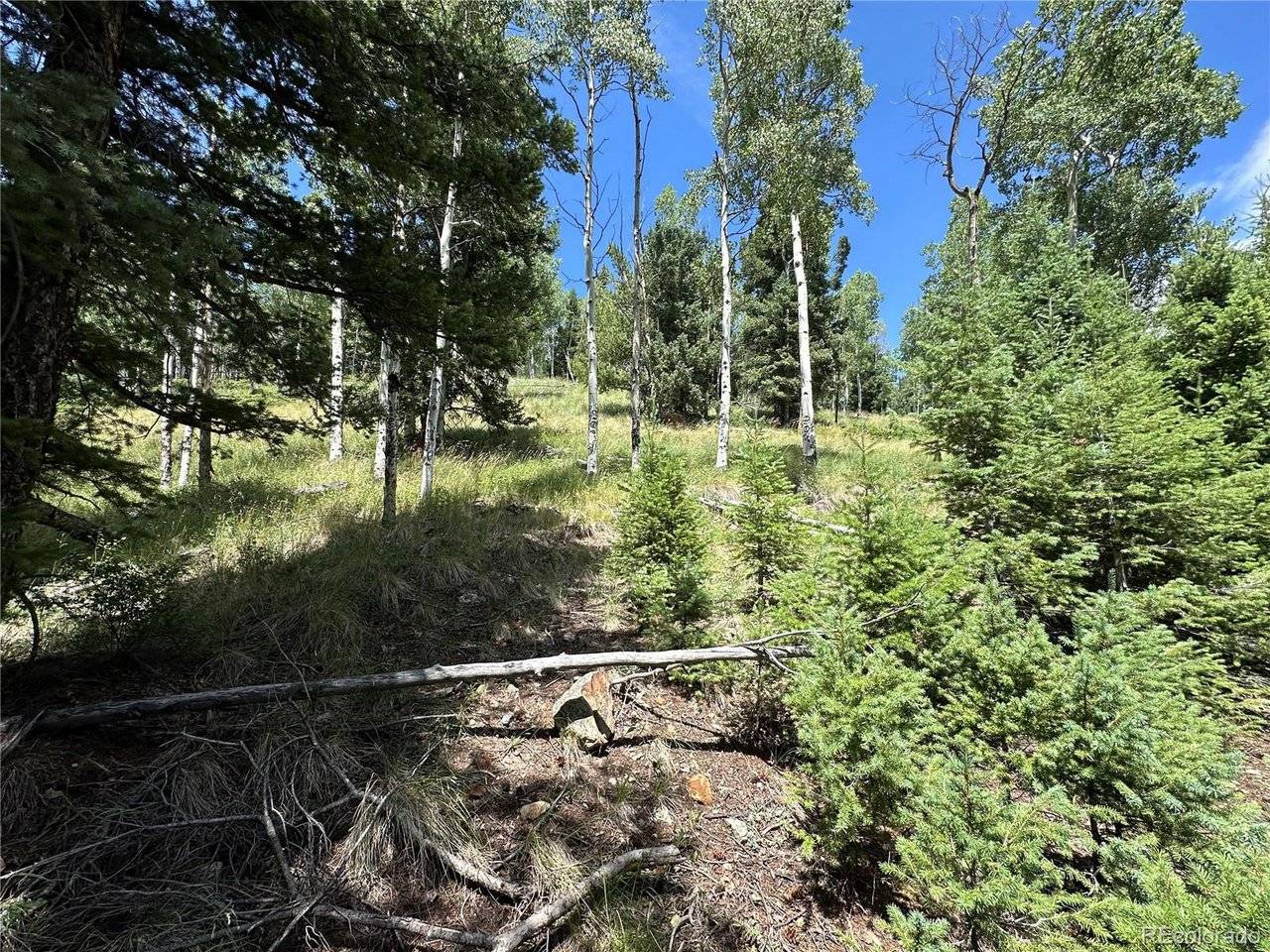 TBD Calkins, Jasper, CO 81146