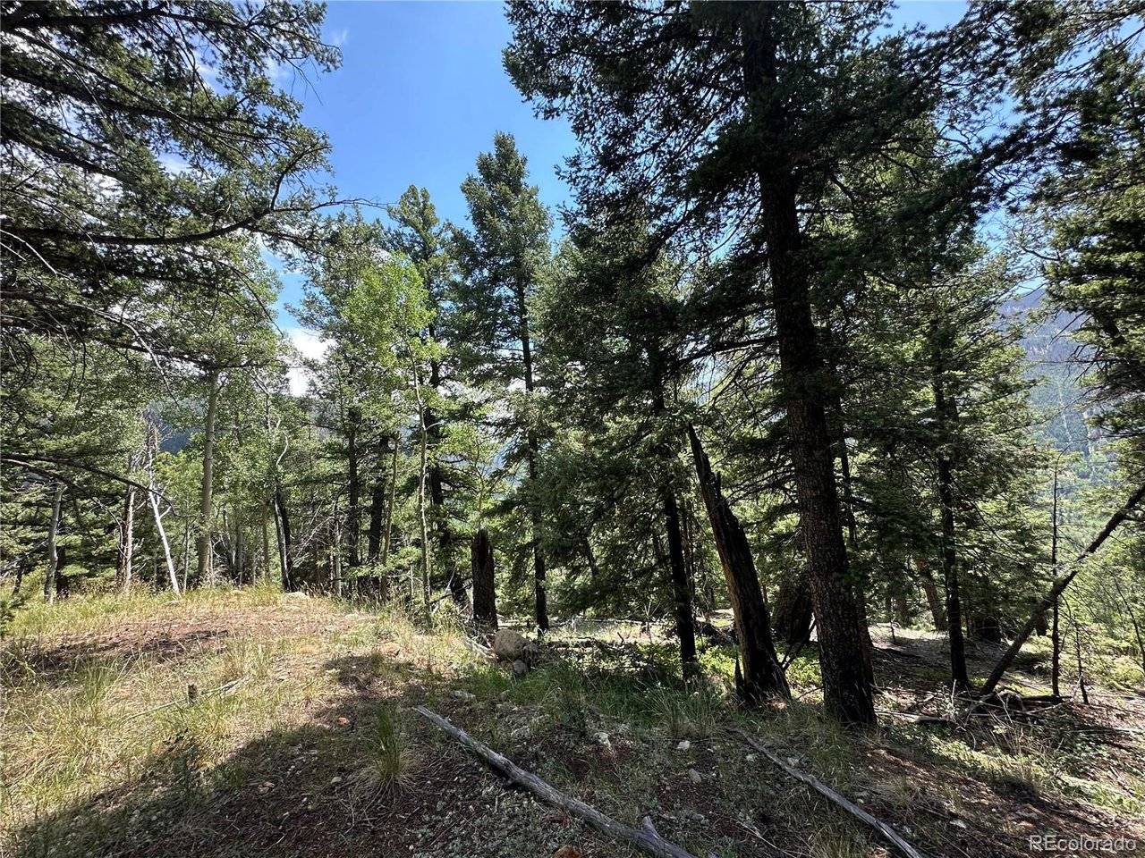 TBD Calkins, Jasper, CO 81146