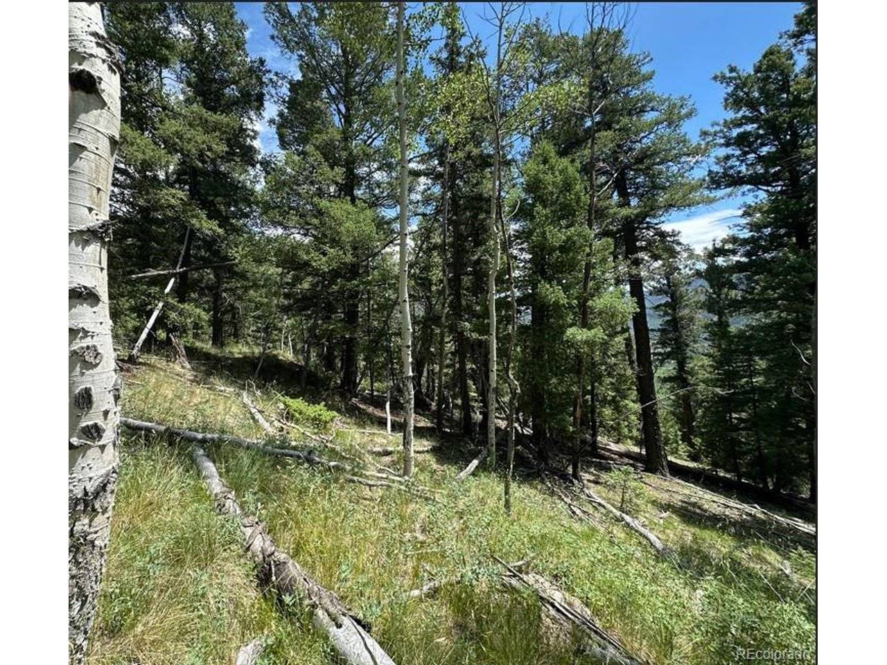 TBD Calkins, Jasper, CO 81146