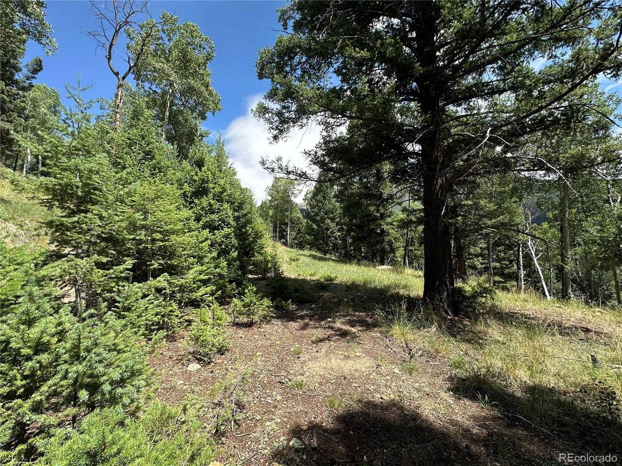 TBD Calkins, Jasper, CO 81146