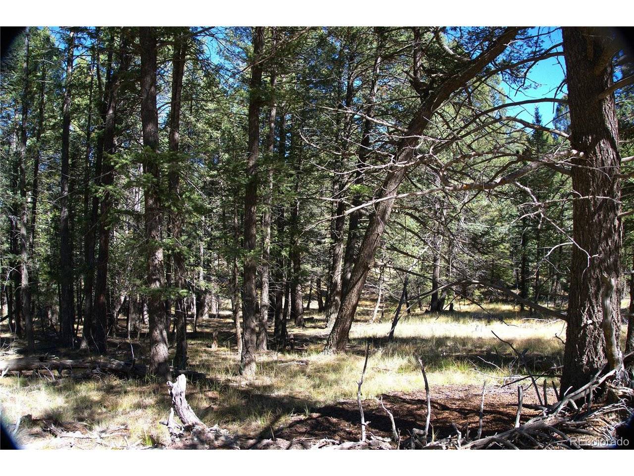 252 Southpark, Florissant, CO 80816