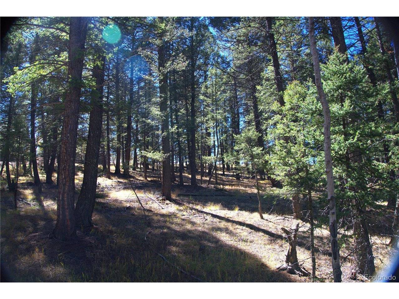 252 Southpark, Florissant, CO 80816