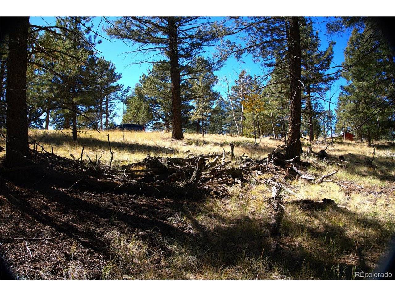 252 Southpark, Florissant, CO 80816
