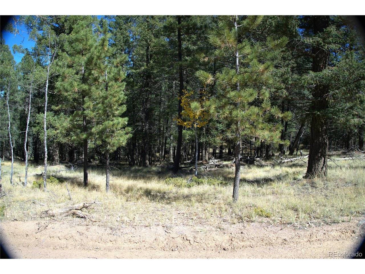 252 Southpark, Florissant, CO 80816