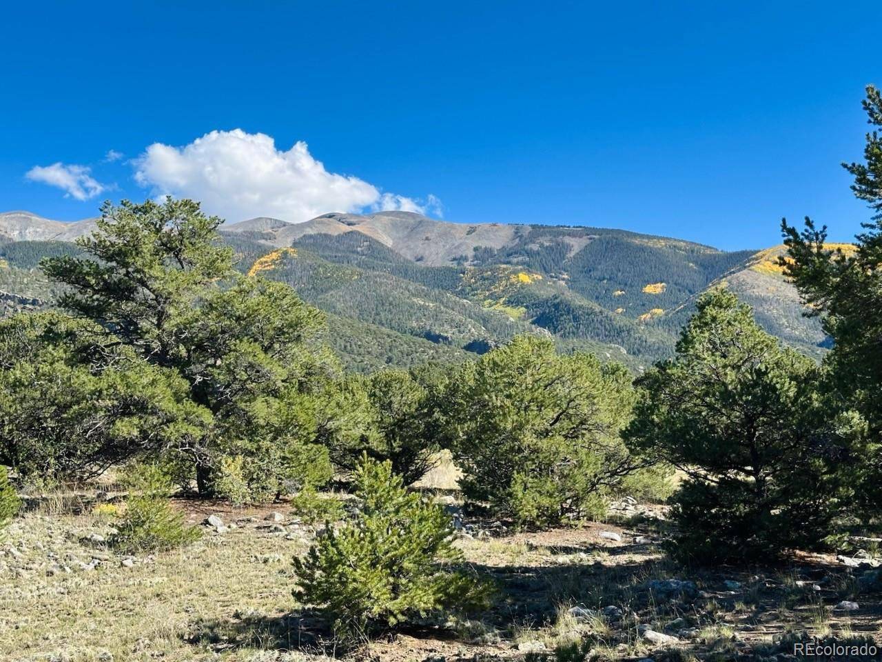 133 Cedar Ridge, Mosca, CO 81146