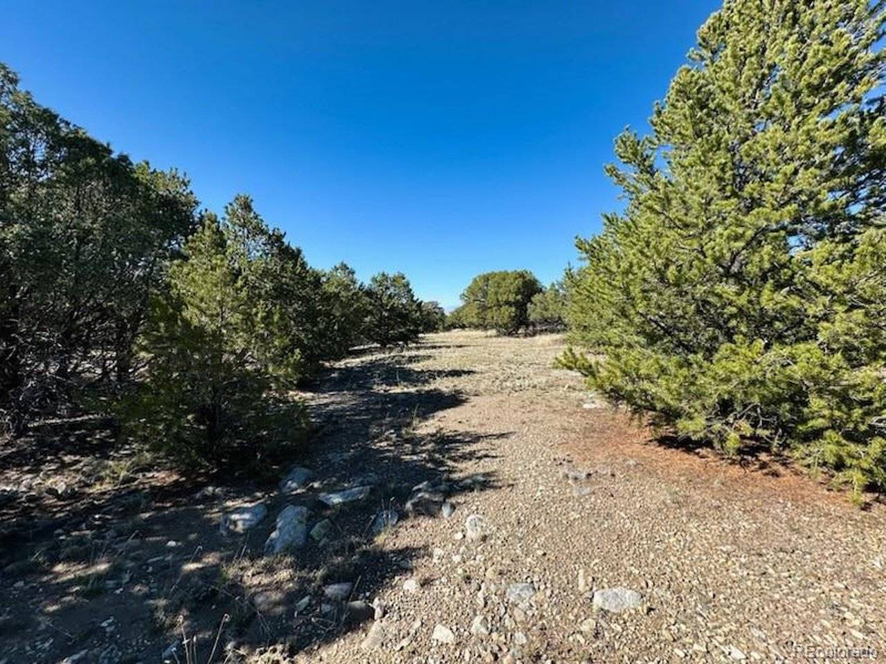 133 Cedar Ridge, Mosca, CO 81146