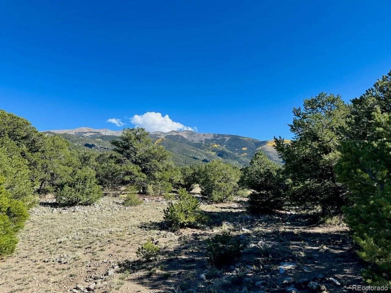 133 Cedar Ridge, Mosca, CO 81146