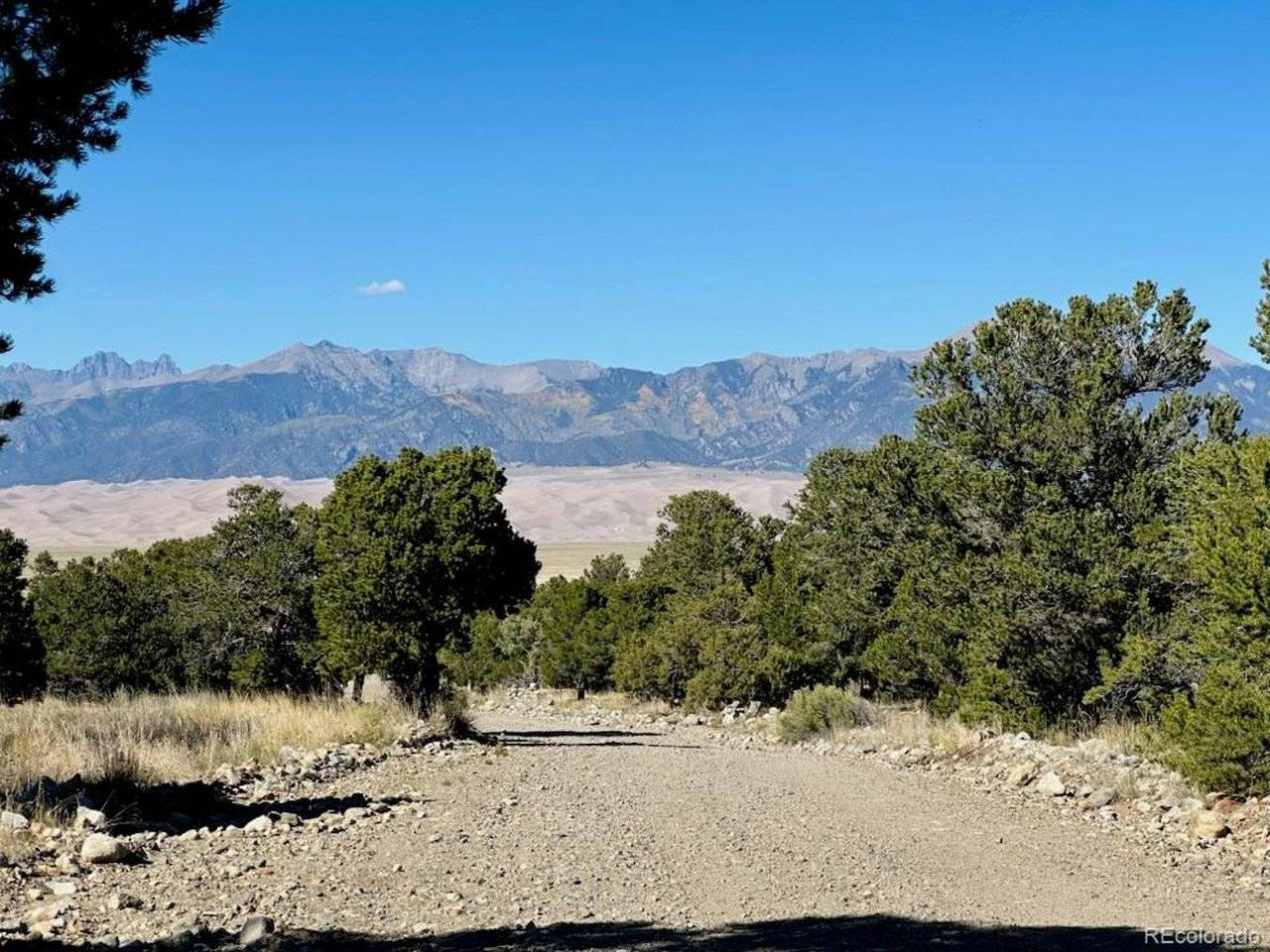 133 Cedar Ridge, Mosca, CO 81146