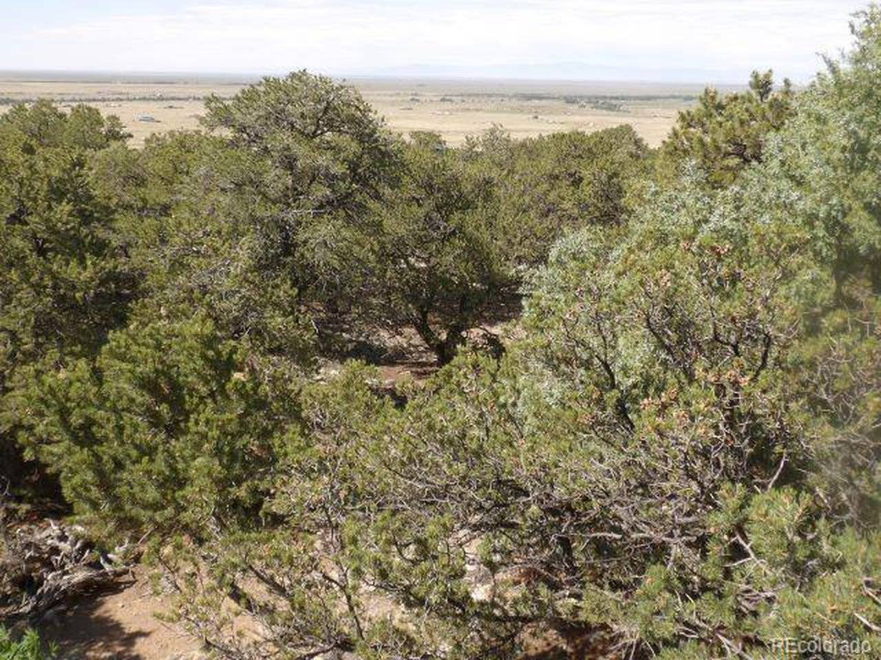 2720 N Carefree, Crestone, CO 81131