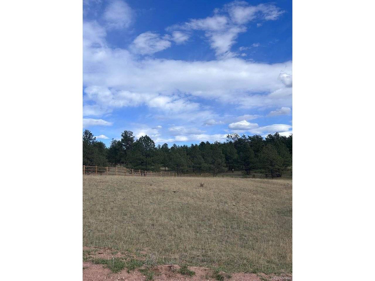 382 Arrowhead, Florissant, CO 80816