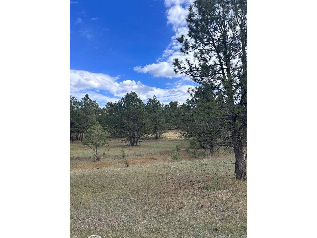 382 Arrowhead, Florissant, CO 80816