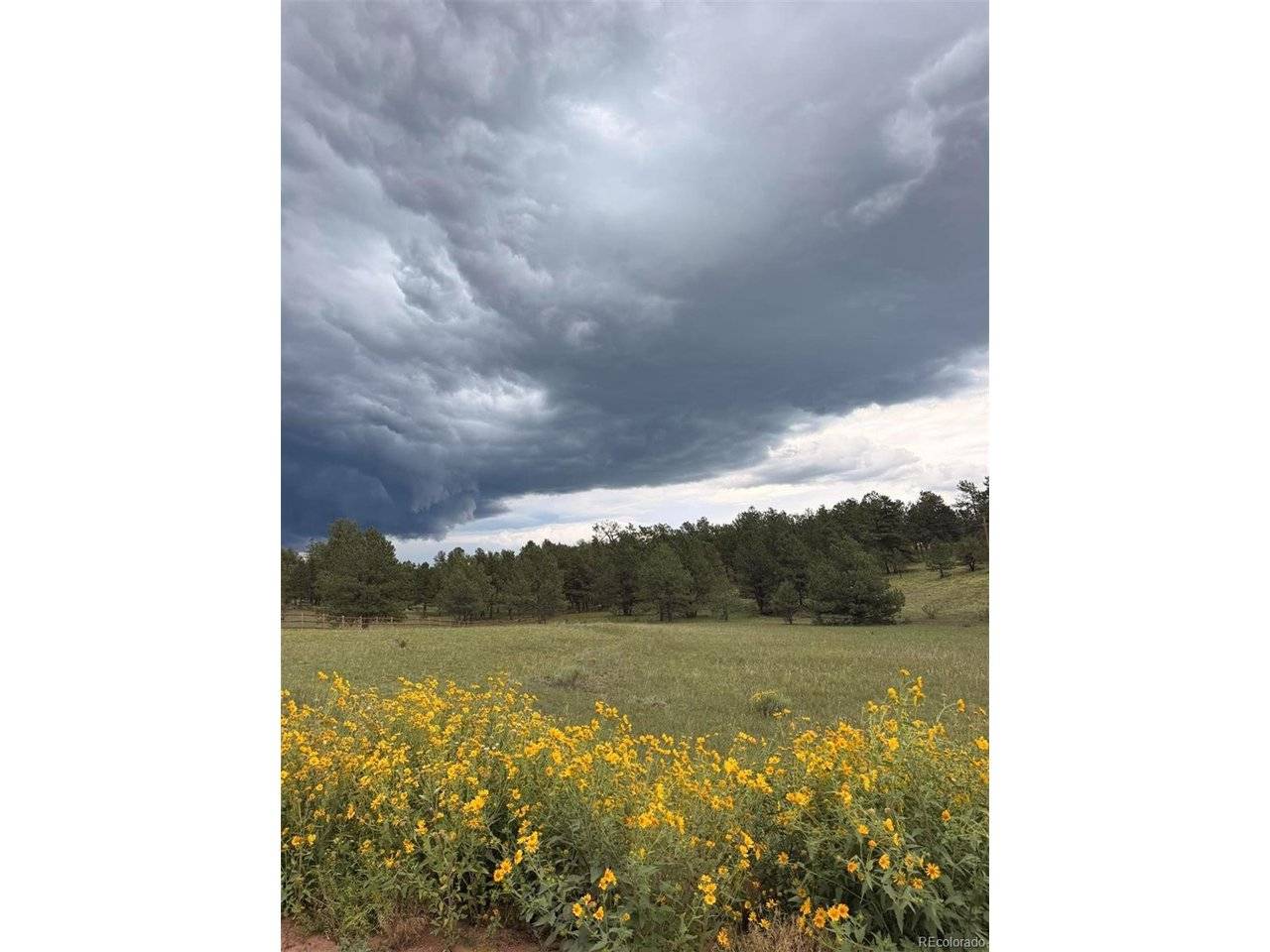 382 Arrowhead, Florissant, CO 80816