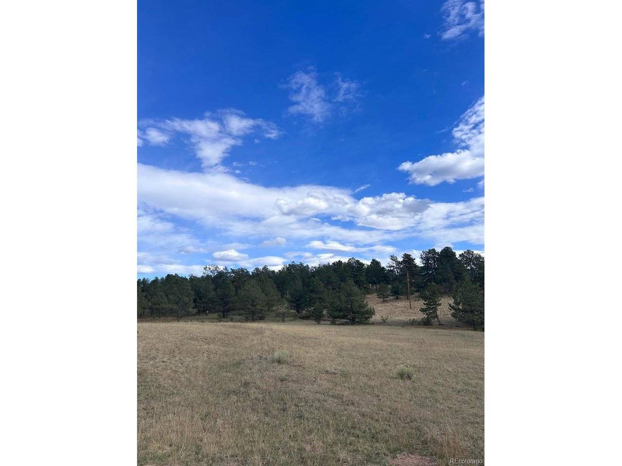 382 Arrowhead, Florissant, CO 80816