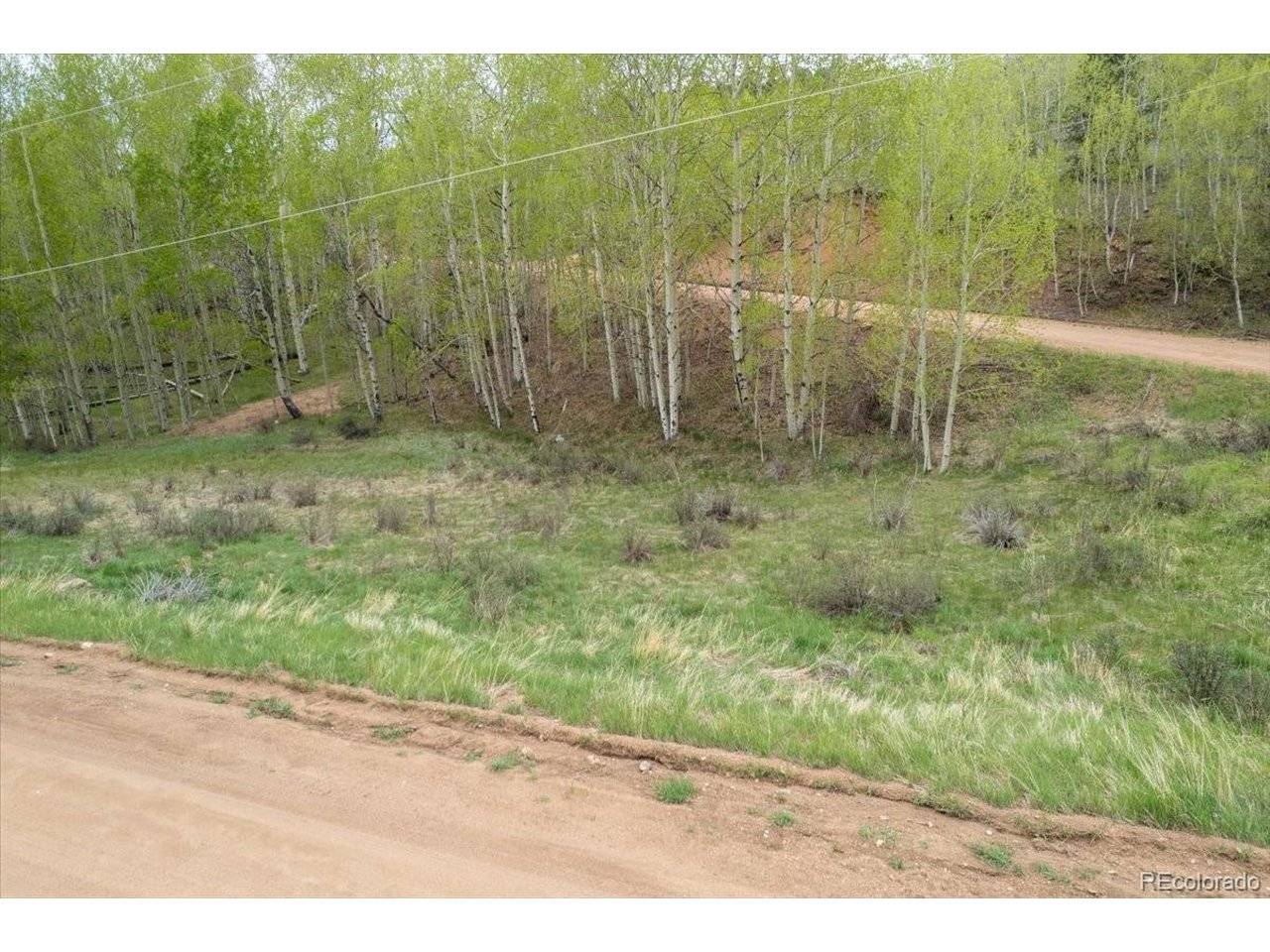 155 Granite, Cripple Creek, CO 80813