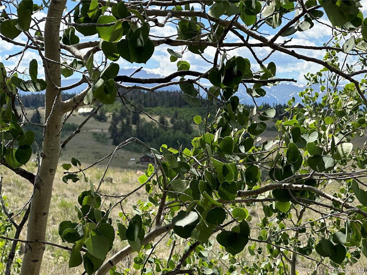 98 Wabeno, Jefferson, CO 80456