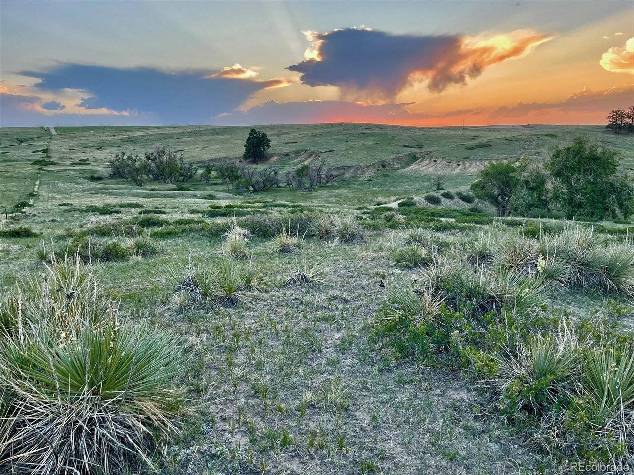 0 Lot 20 Stillness, Kiowa, CO 80117