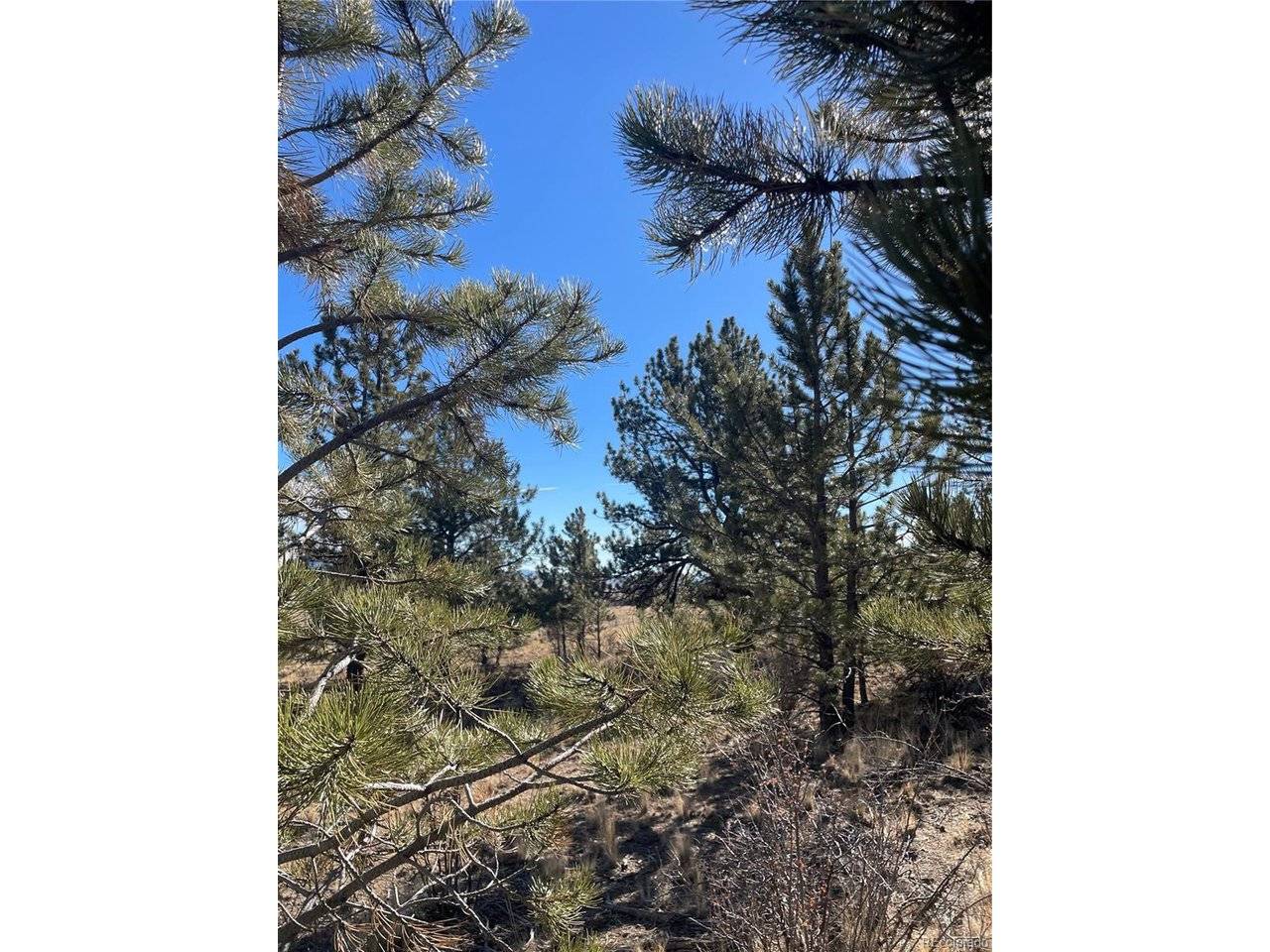 0 Oak, Hartsel, CO 80449