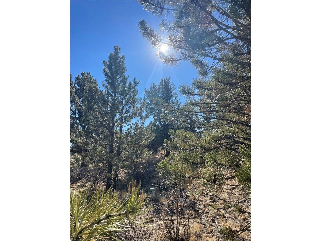0 Oak, Hartsel, CO 80449