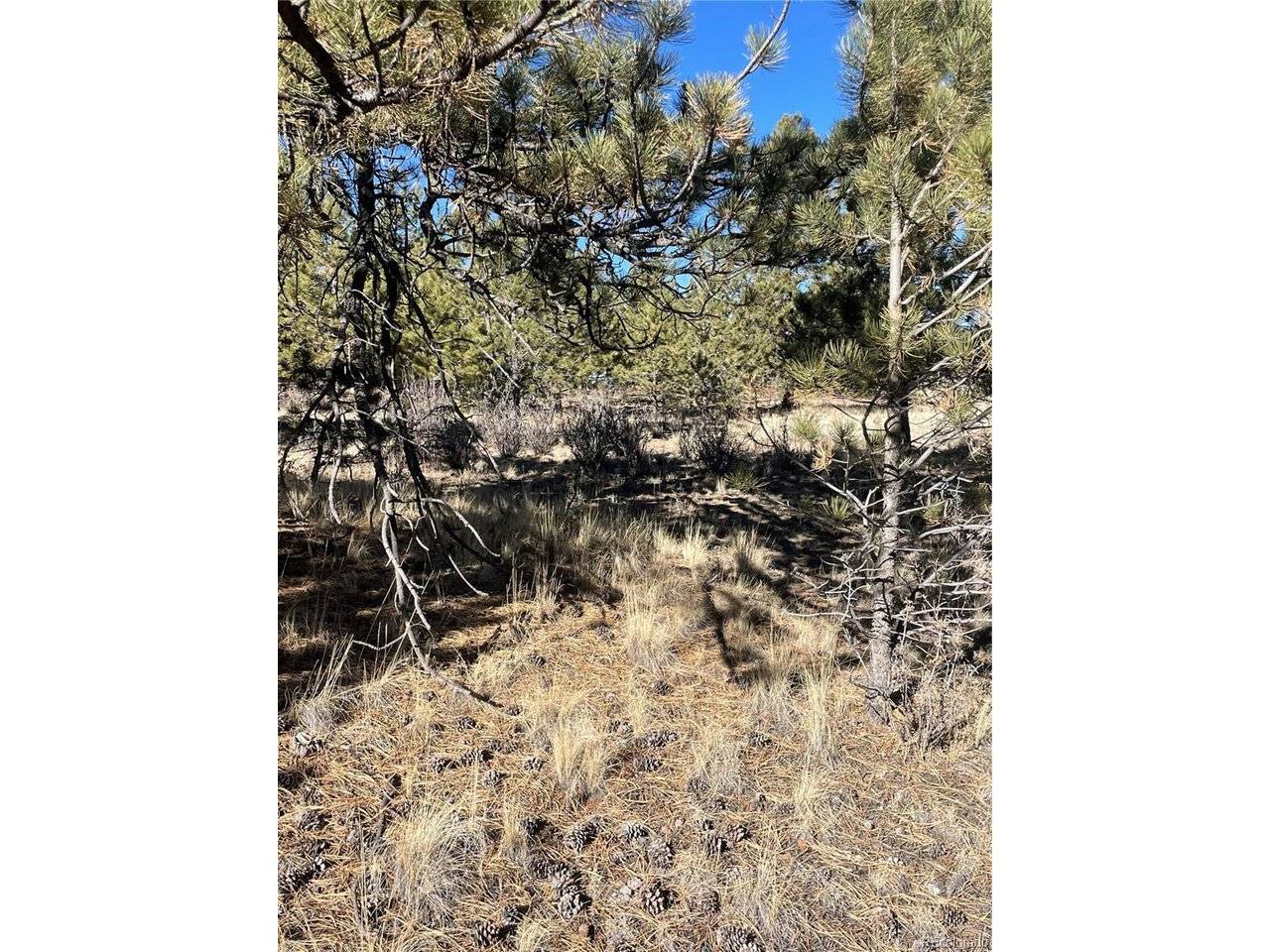 0 Oak, Hartsel, CO 80449
