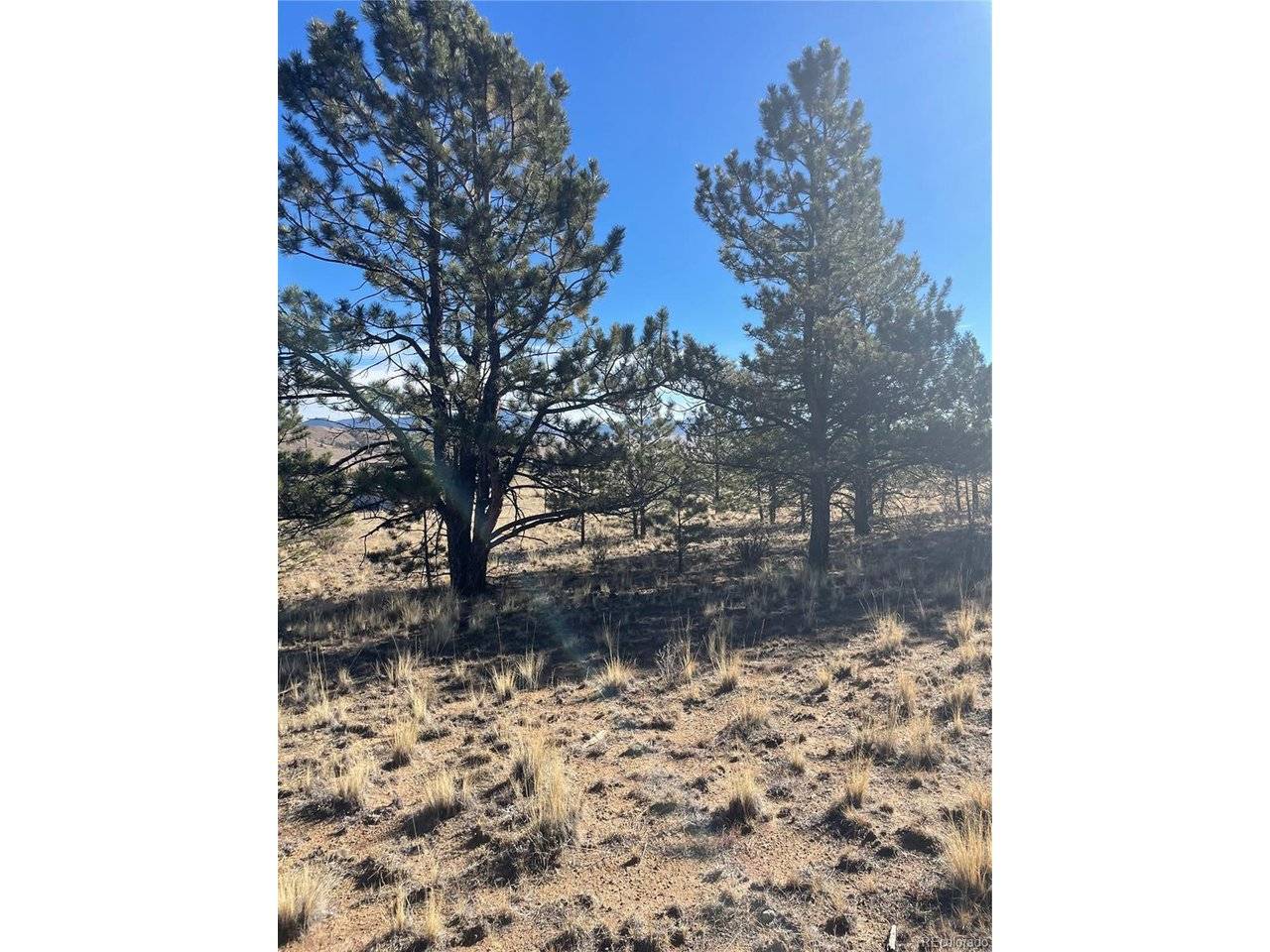 0 Oak, Hartsel, CO 80449